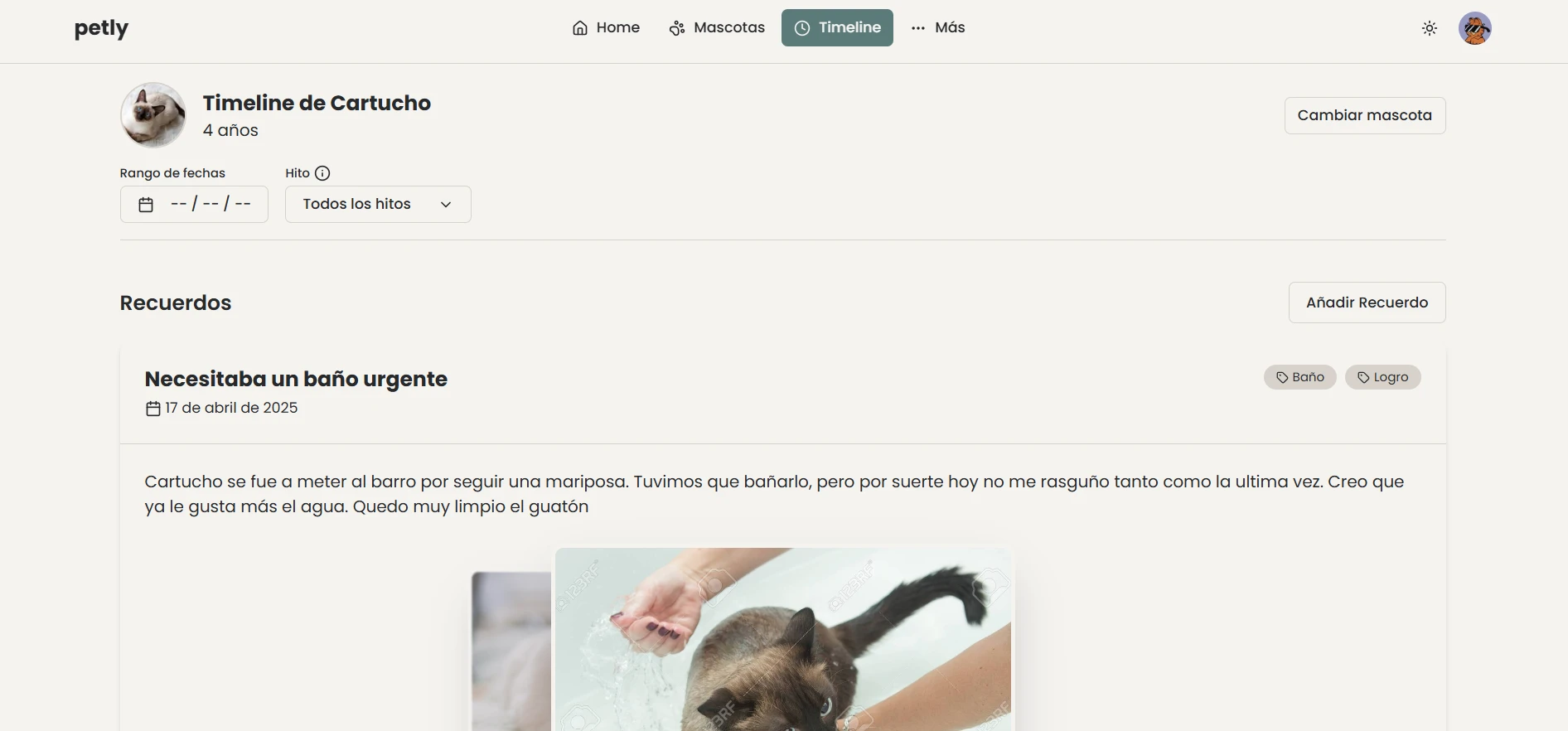 petly — screenshot 11