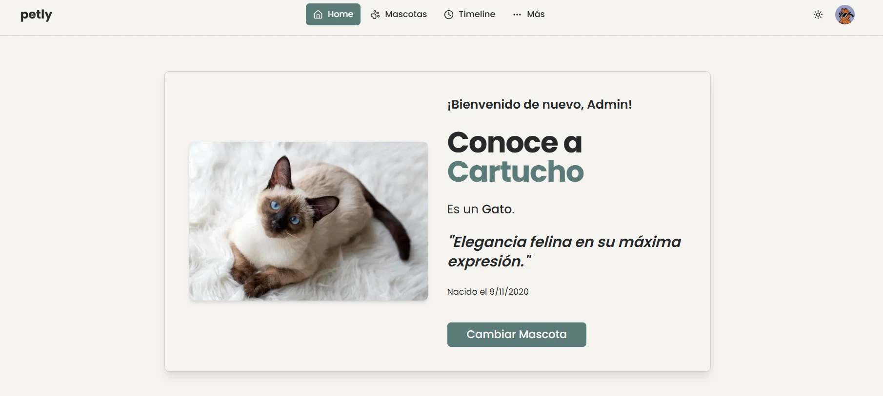 petly — screenshot 4